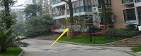 一樓的房子弊端太多？內(nèi)行人透露：有錢人都喜歡買一樓