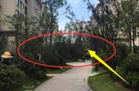 一樓到底哪里差？住進去后來聊聊感受