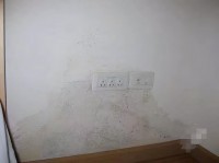 一樓的房真的不能買嗎 送多少平也別買？