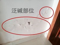 瓷磚反堿補(bǔ)救徹底解決方法？清理瓷磚的技巧？